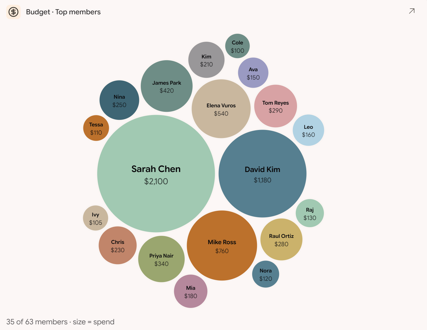 Top members by spend, shown as a bubble chart